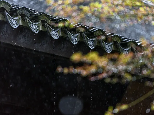 雨