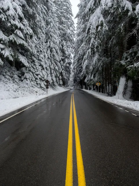 冬季 公路