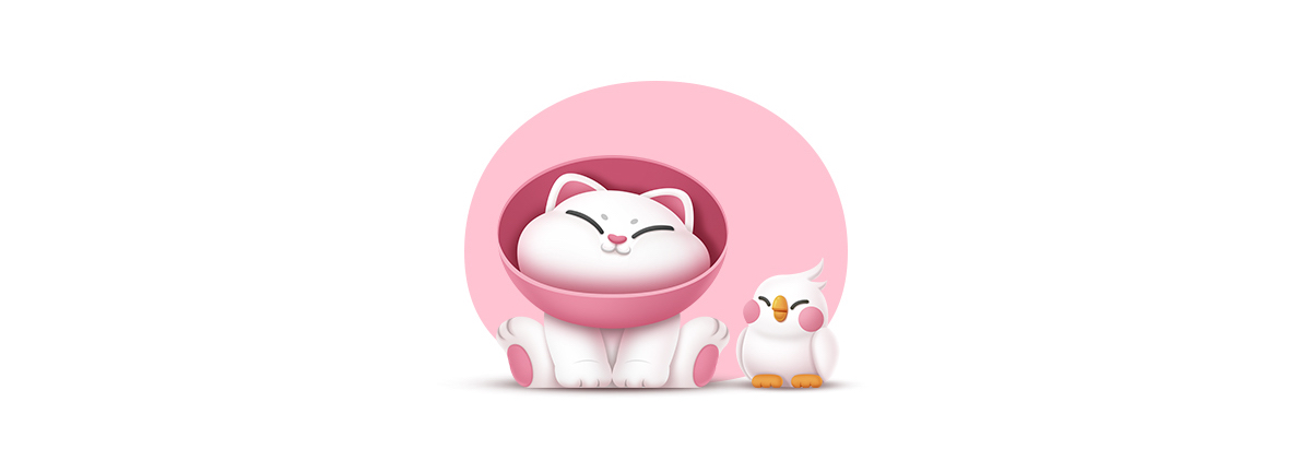 李舜商业IP案例5：大碗宽喵的奇妙诞生-源于猫咪“耻辱罩”的文创IP封面